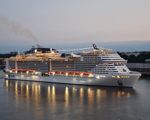 Cruise Shore Excursions